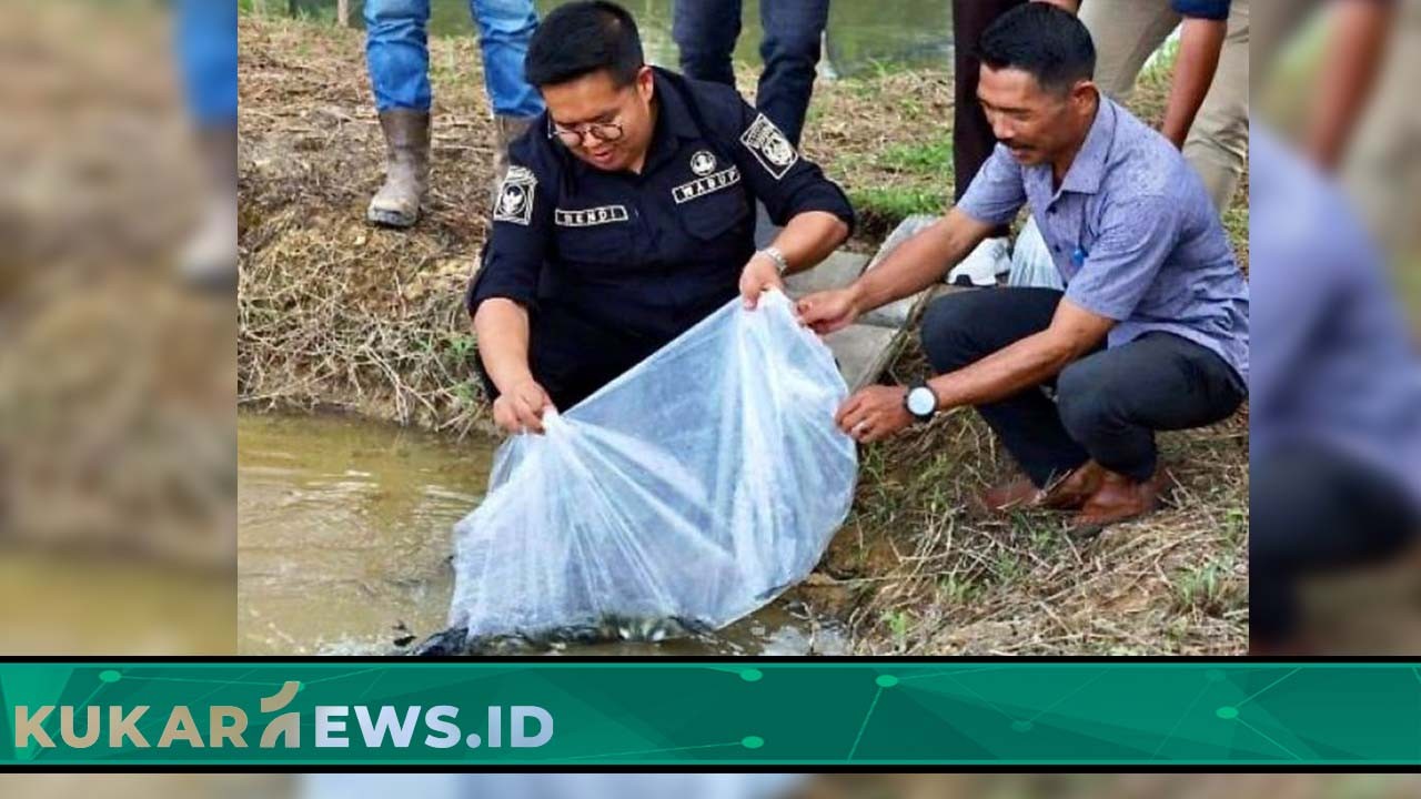 Wakil Bupati Rendi Solihin Serahkan Bantuan Kepada Pembudidaya Perikanan