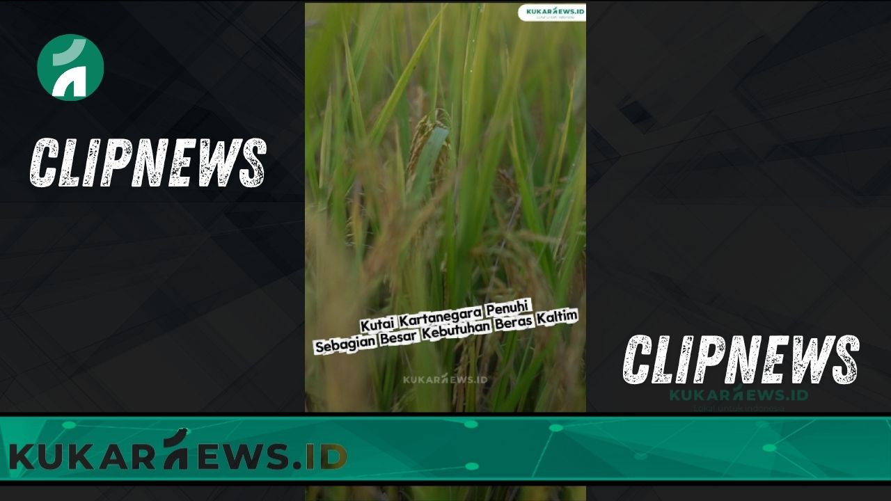 Kutai Kartanegara Penuhi Sebagian Besar Kebutuhan Beras Kaltim - Clipnews