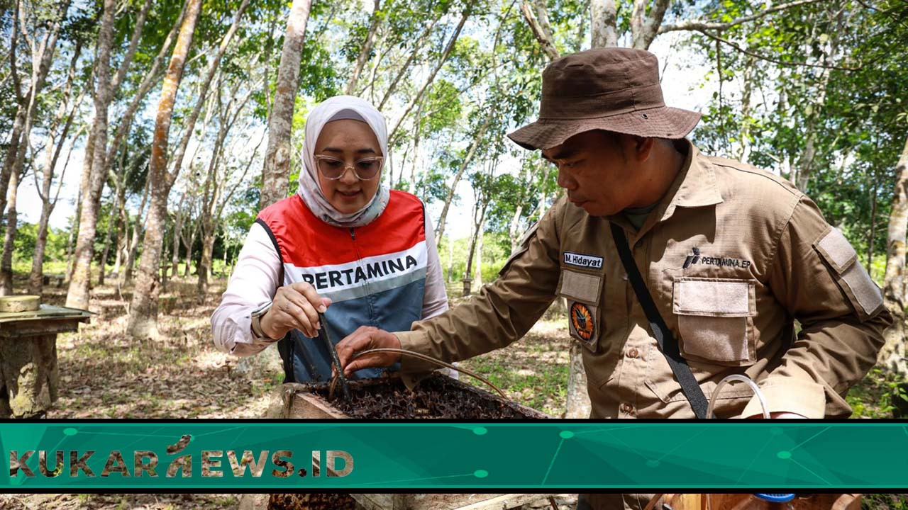 Program CSR PT Pertamina EP Sangatta Berdayakan Petani Madu Kelulut Serta Pariwisata Edukatif