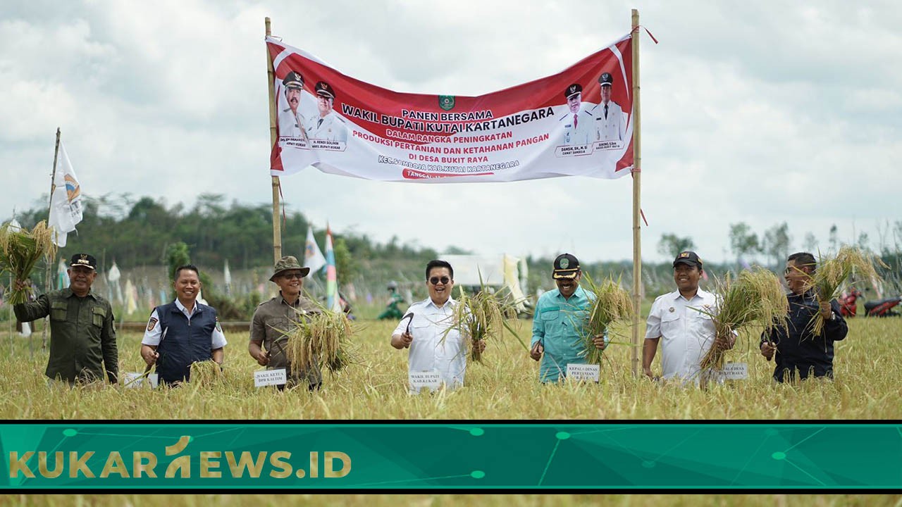 Panen Raya di Desa Bukit Raya, Rendi Solihin Yakin Kukar Mampu Menjadi Pemasok Pangan IKN