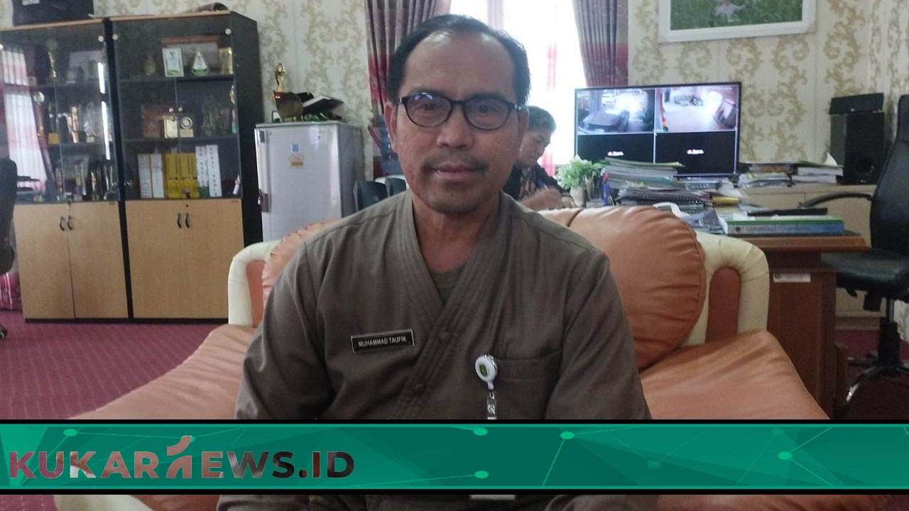 Produksi Kelapa Sawit Naik Ditargetkan Naik 12 %