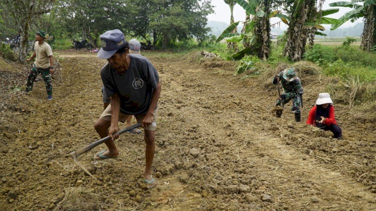 Pangkas Biaya Angkut Panen, Satgas TMMD 130 Geber Peningkatan Jalan Usaha Tani di Loa Kulu