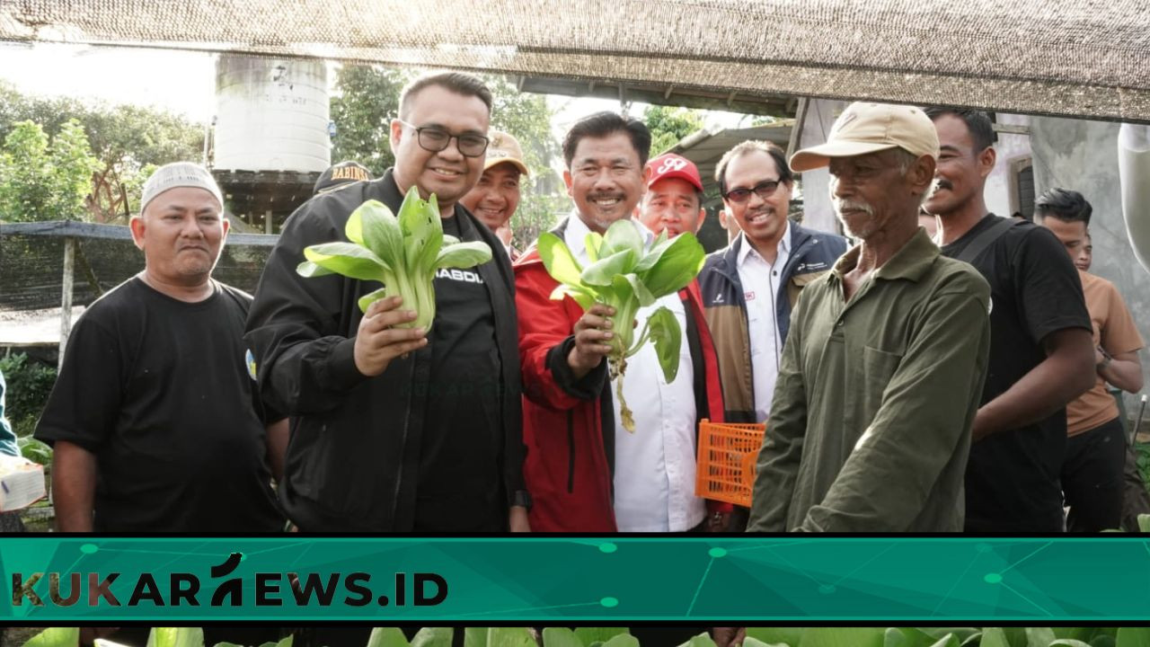 Bupati Aulia Panen Bersama dengan Para Petani Maluhu, Siap Bantu Kendaraan Operasional